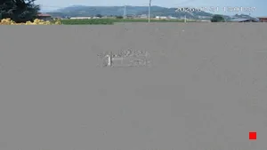 Caméra IP - IT