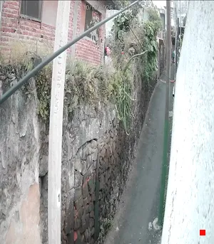 Caméra IP - MX