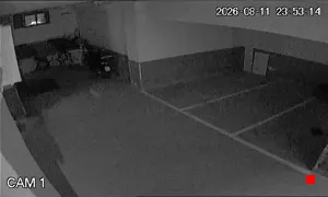 Caméra IP - IT