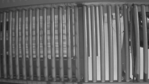 Caméra IP - PT