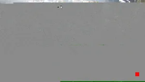 Caméra IP - US