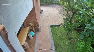Caméra IP - IT
