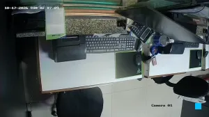 Caméra IP - UY