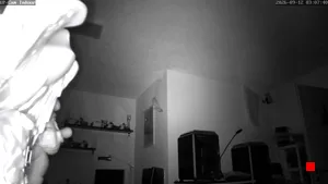 Caméra IP - DE