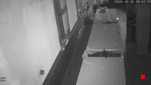 Caméra IP - IT