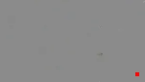 Caméra IP - ES