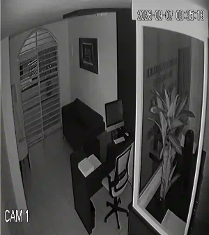 Caméra IP - MX
