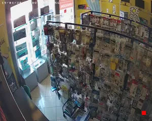Caméra IP - IT