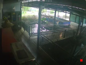 Caméra IP - TH