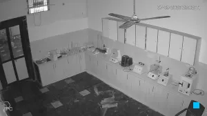 Caméra IP - IN