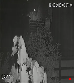 Caméra IP - IT