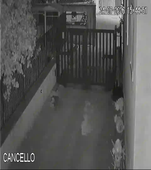 Caméra IP - IT