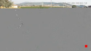Caméra IP - IT
