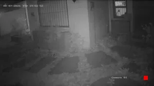Caméra IP - UY
