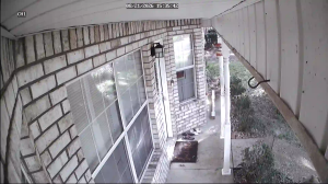Caméra IP - US