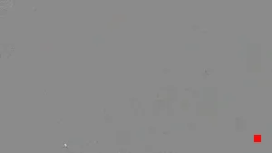Caméra IP - IT