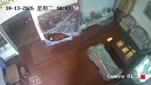 Caméra IP - CN