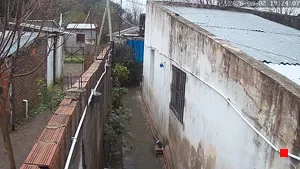 Caméra IP - AR