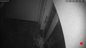 Caméra IP - DE