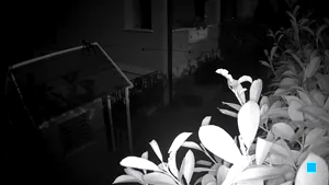 Caméra IP - IL