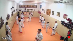 Caméra IP - BR