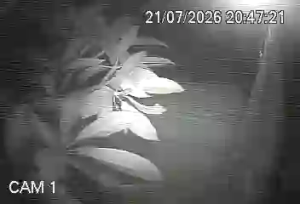 Caméra IP - BR