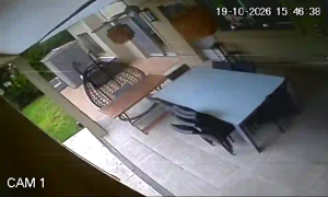Caméra IP - AR