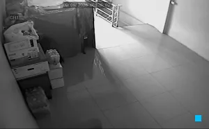 Caméra IP - TH