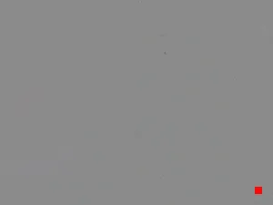 Caméra IP - IT
