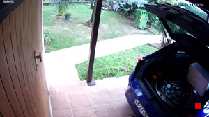 Caméra IP - IT