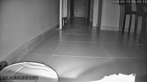 Caméra IP - ES