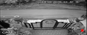 Caméra IP - IN