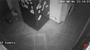 Caméra IP - RO