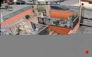 Caméra IP - IT