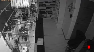 Caméra IP - IT