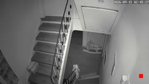 Caméra IP - DE