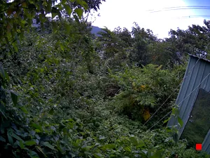 Caméra IP - TW