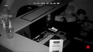 Caméra IP - NZ