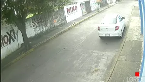 Caméra IP - MX