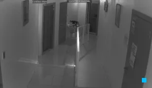 Caméra IP - IT