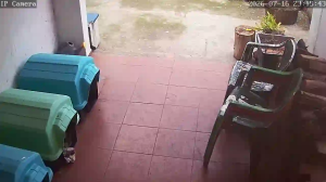Caméra IP - UY