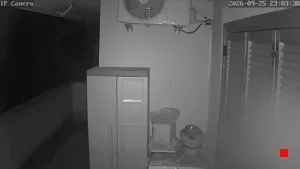 Caméra IP - IT
