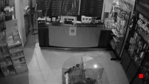 Caméra IP - EG