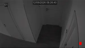Caméra IP - IT
