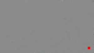 Caméra IP - ES