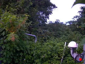 Caméra IP - TW