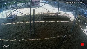 Caméra IP - BG