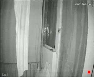 Caméra IP - IR
