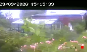 Caméra IP - DE