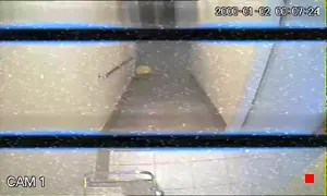Caméra IP - IR